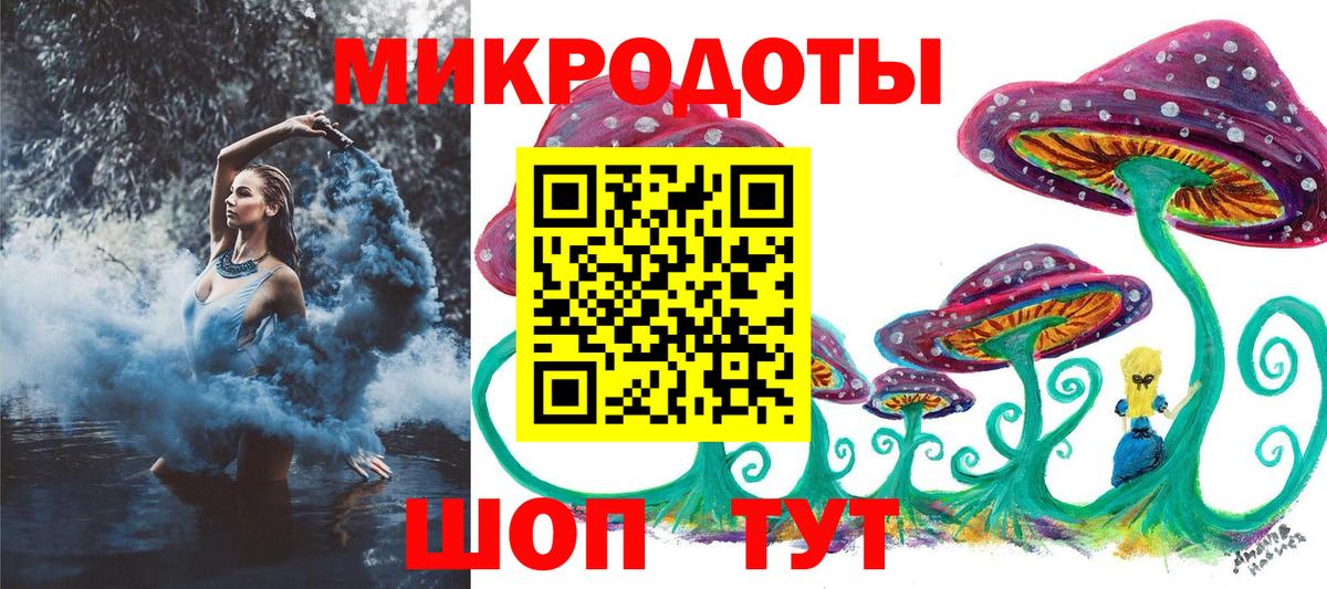 Галлюциногенные грибы Psilocybe  Вход с VPN  Гатчина 