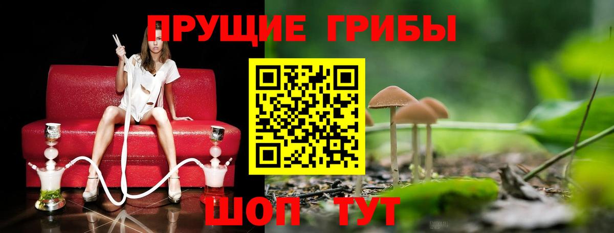 Псилоцибиновые грибы ЛСД Гатчина